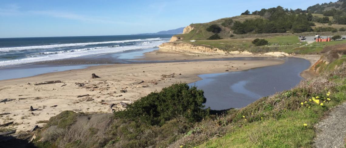 San Gregorio State Beach Coastside State Parks Association